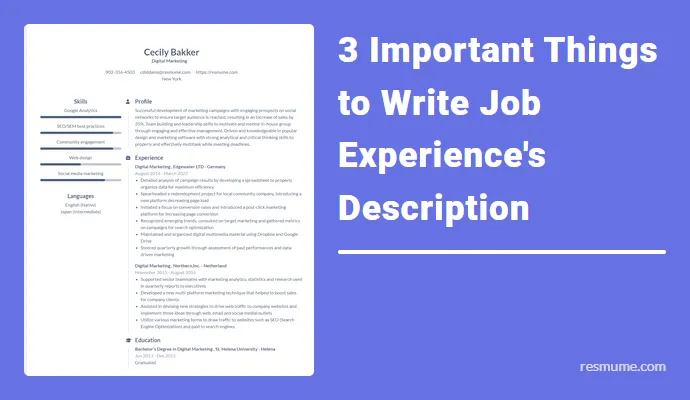 3 Important Things to Write Job Experience's Description