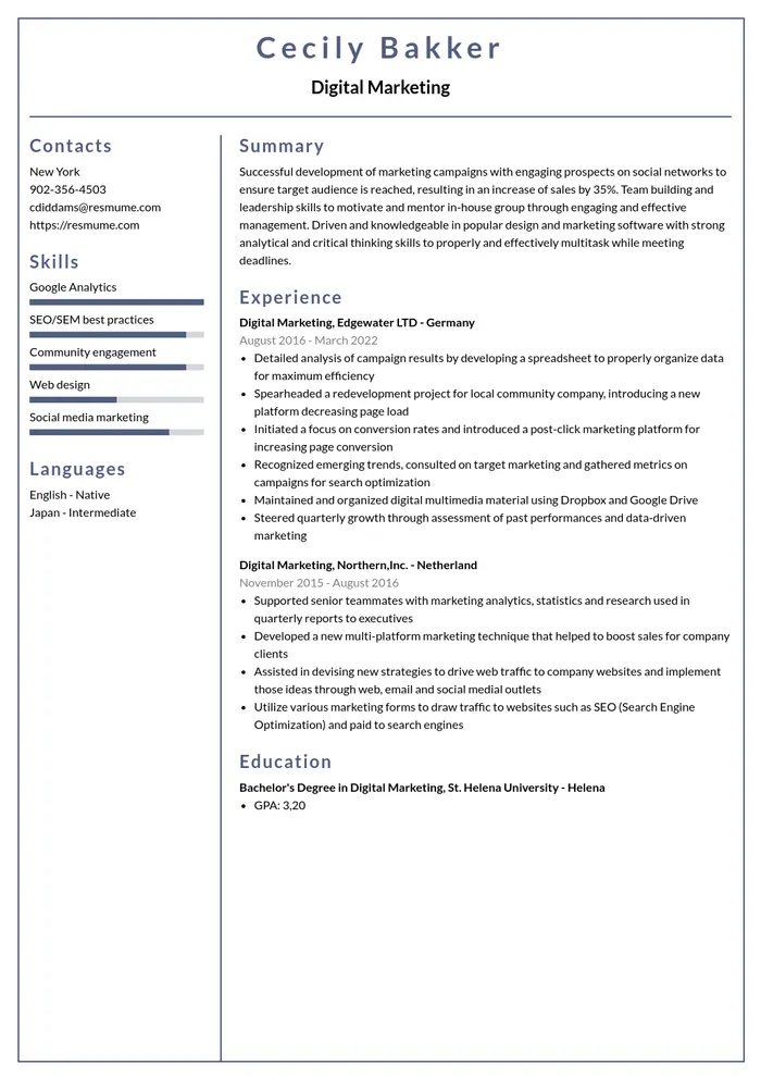 Example professional resume