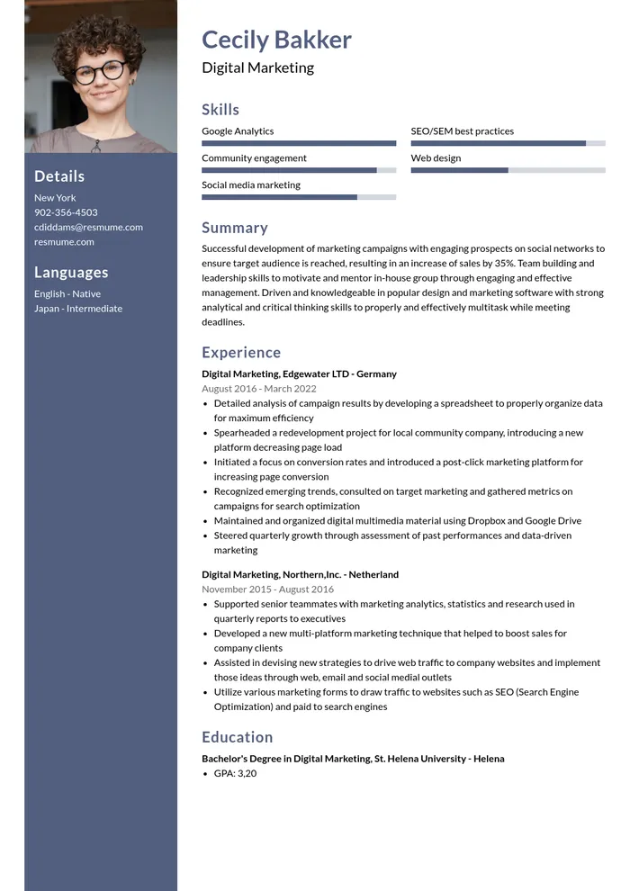 Example professional resume