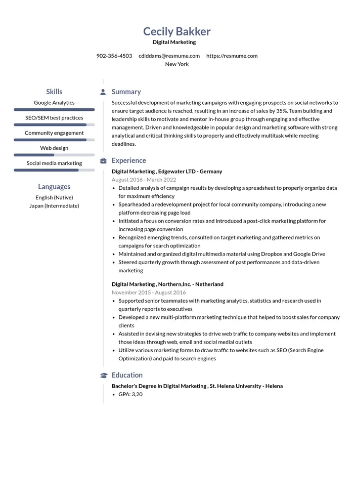 Example professional resume